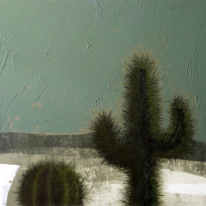 Day Cacti